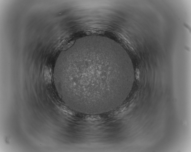 X0000091200915200708161611