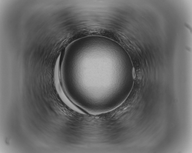X0000091200916200708161611