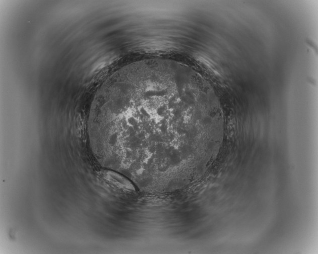 X0000091200917200708161611