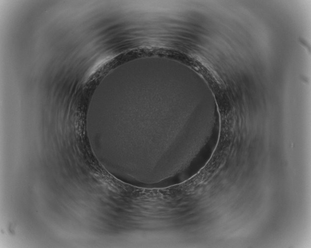 X0000091200919200708161611
