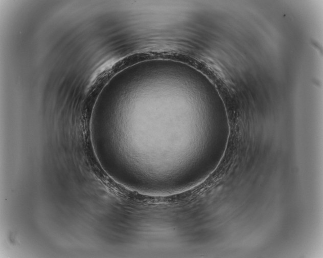 X0000091200920200708161611