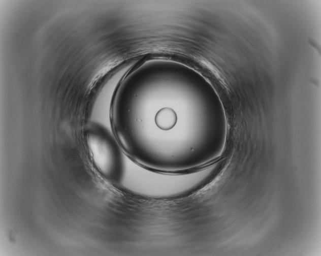 X0000091200922200708161611