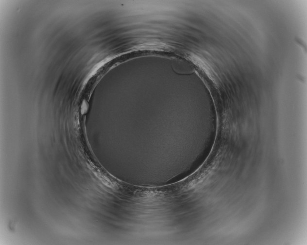 X0000091200923200708161611