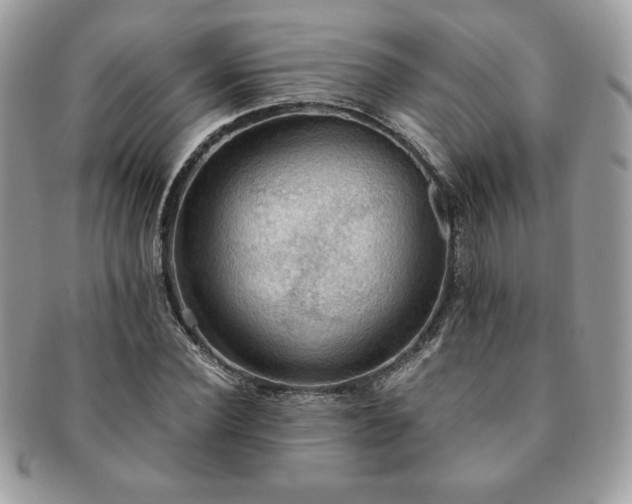 X0000091200924200708161611