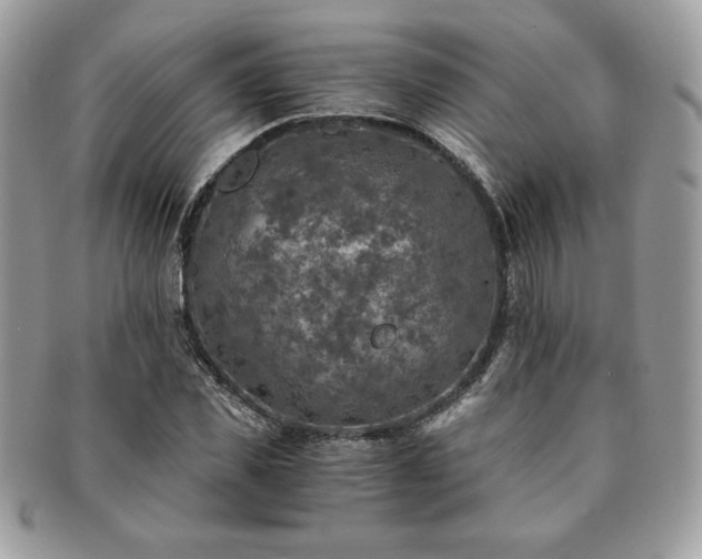 X0000091200925200708161611