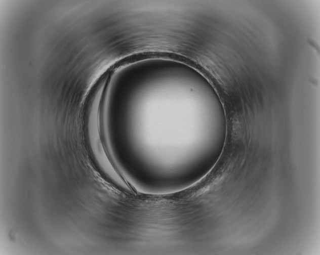 X0000091200926200708161611
