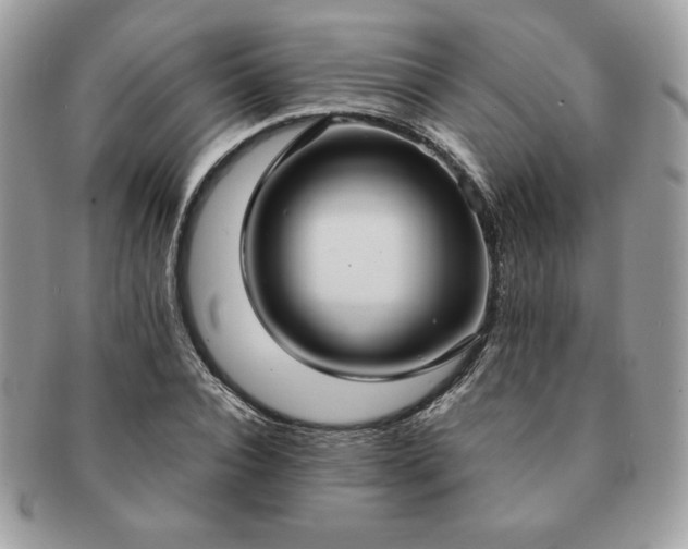 X0000091200928200708161611