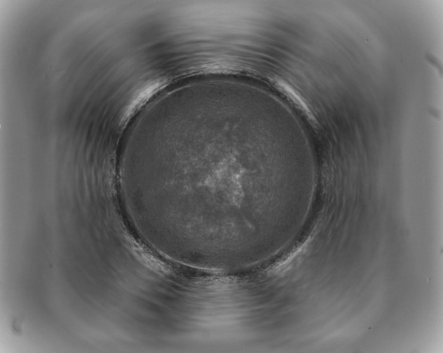 X0000091200930200708161611