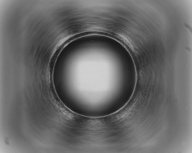 X0000091200931200708161611