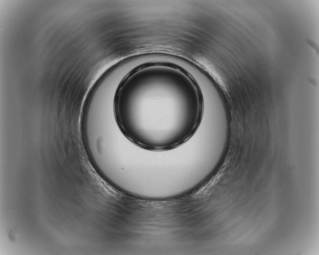 X0000091200932200708161611
