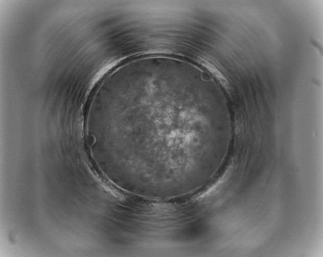 X0000091200933200708161611