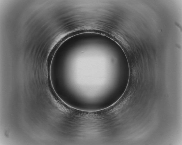 X0000091200934200708161611