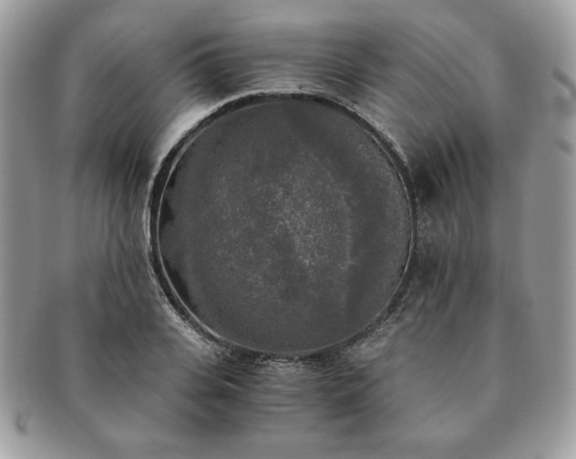 X0000091200935200708161611