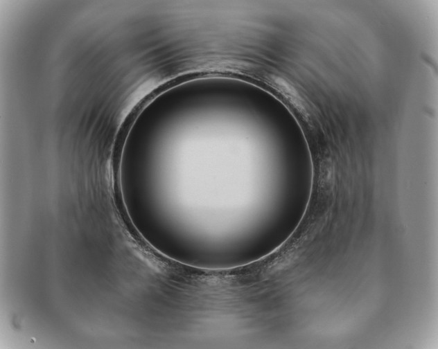 X0000091200936200708161611