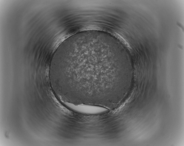 X0000091200937200708161611