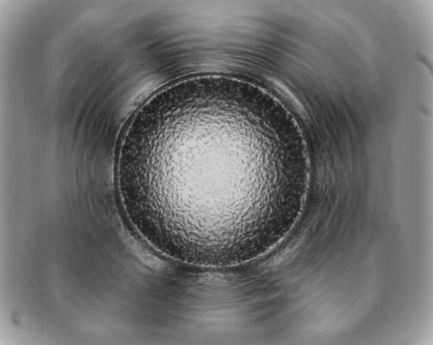 X0000091200938200708161611
