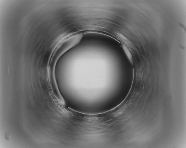 X0000091200940200708161611