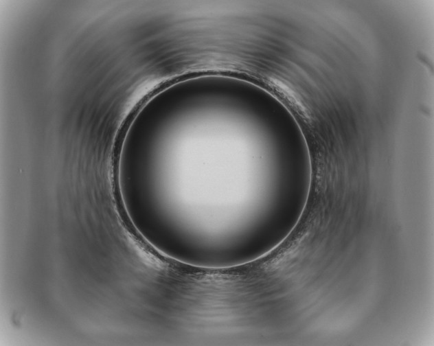 X0000091200942200708161611
