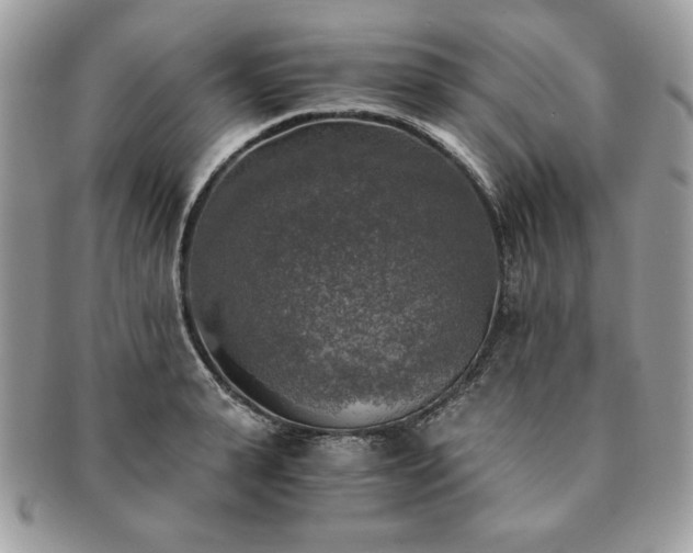 X0000091200943200708161611