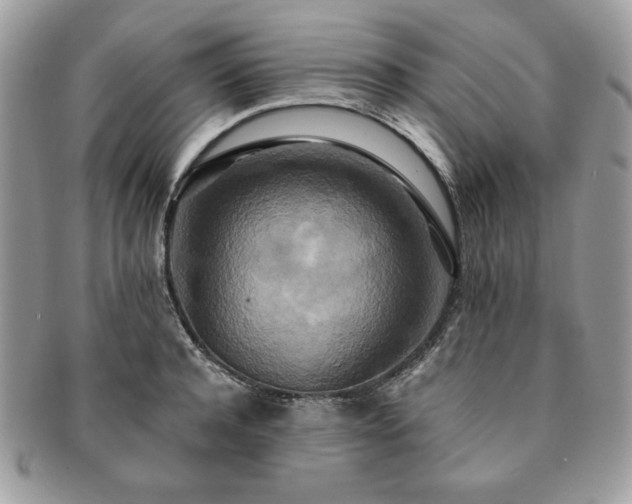 X0000091200944200708161611