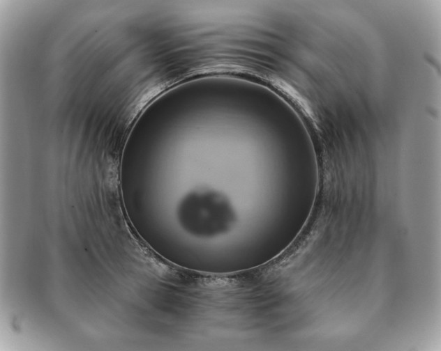 X0000091200945200708161611