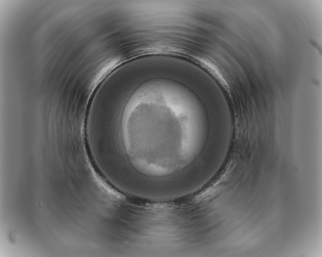 X0000091200946200708161611