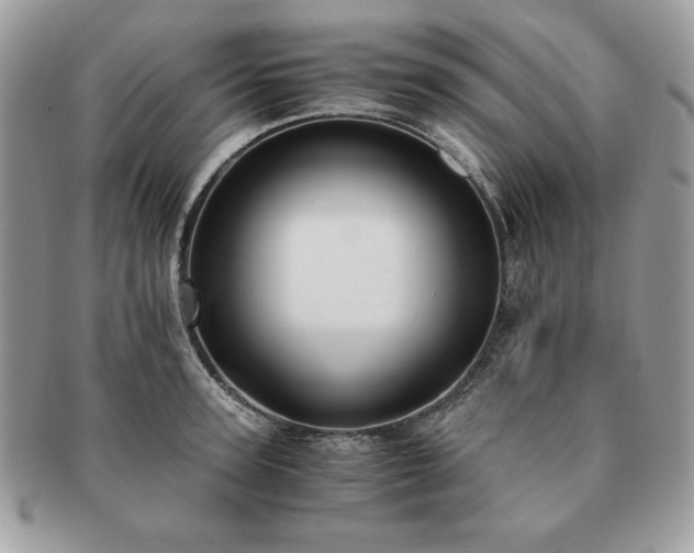 X0000091200947200708161611