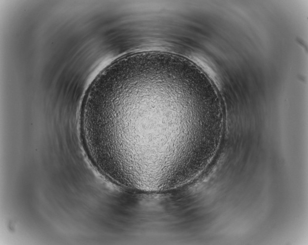 X0000091200949200708161611