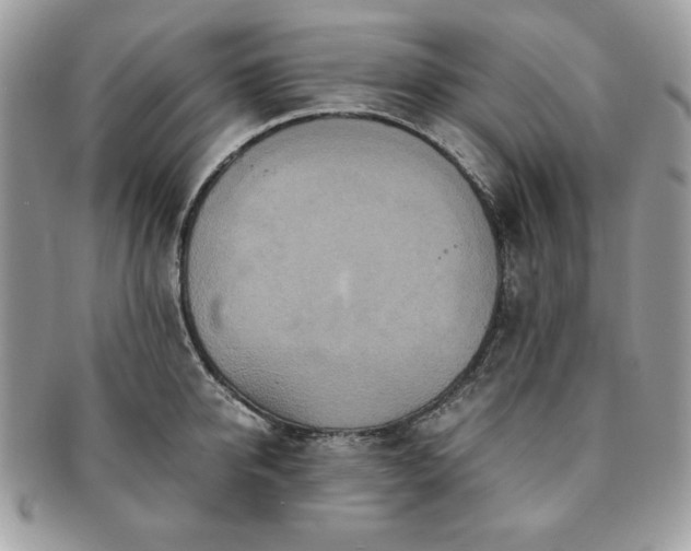 X0000091200950200708161611