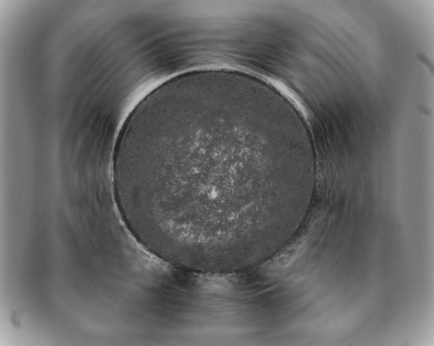 X0000091200951200708161611