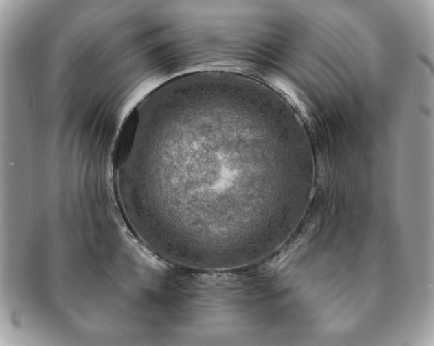 X0000091200952200708161611