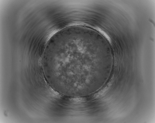 X0000091200953200708161611