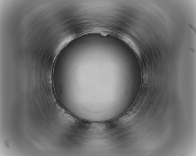 X0000091200954200708161611