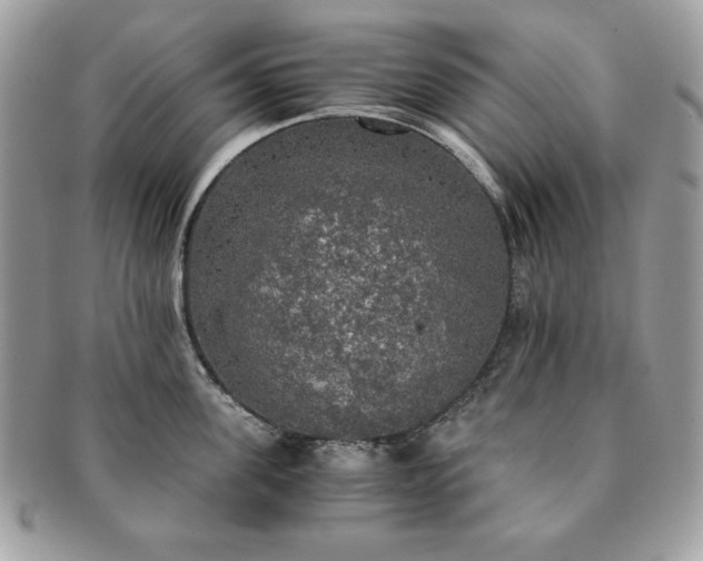 X0000091200955200708161611
