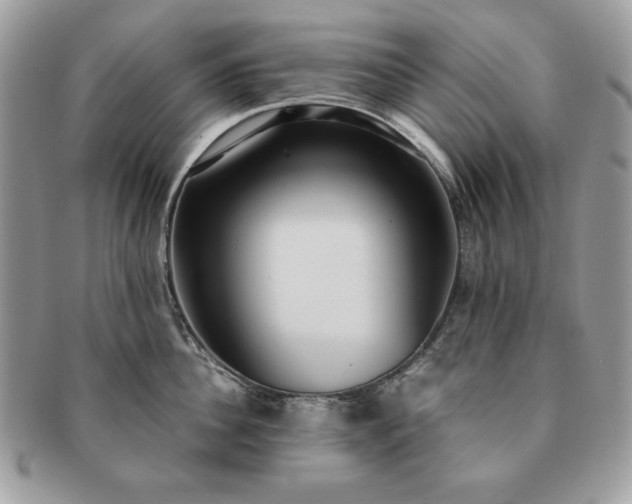 X0000091200956200708161611