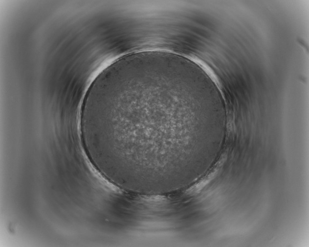 X0000091200957200708161611