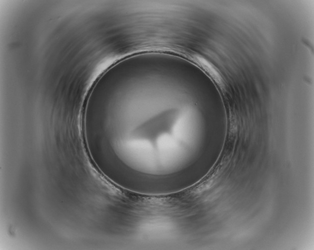 X0000091200958200708161611