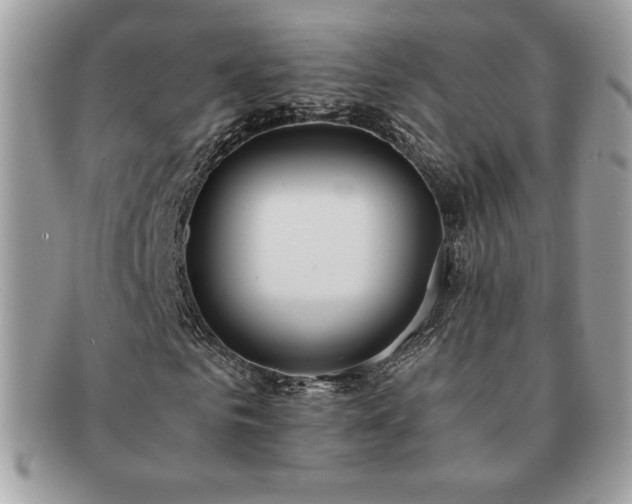X0000091200961200708161611