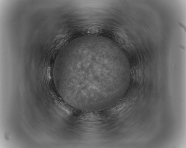 X0000091200962200708161611