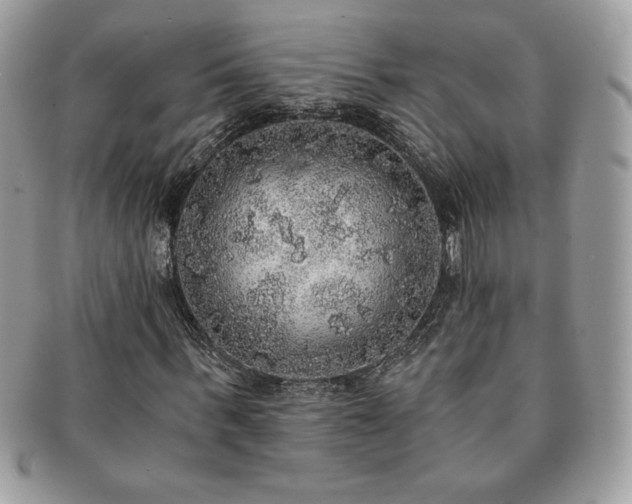 X0000091200963200708161611