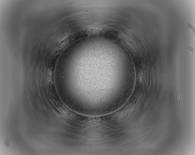 X0000091200964200708161611
