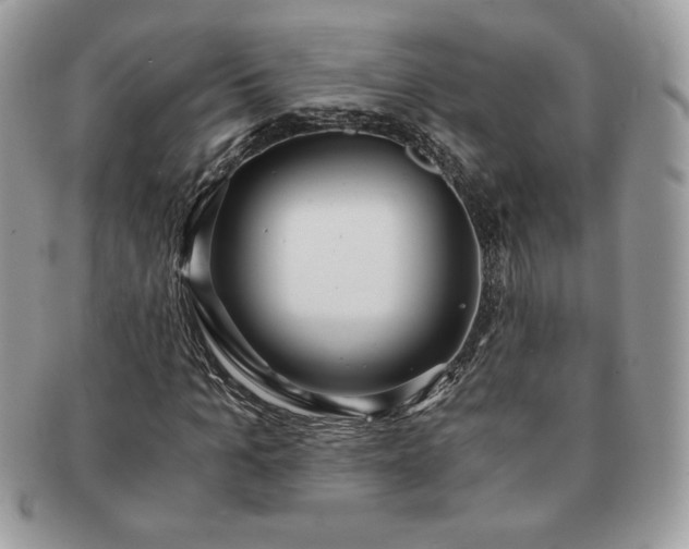 X0000091200965200708161611