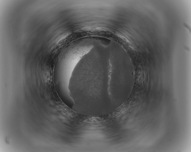 X0000091200966200708161611