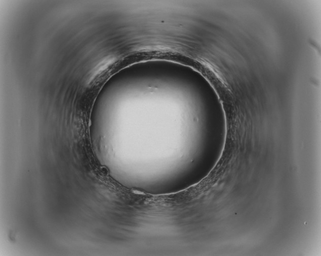 X0000091200967200708161611