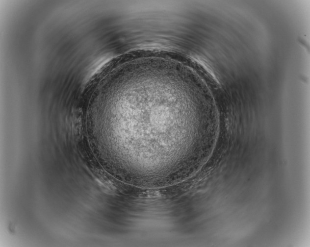 X0000091200968200708161611