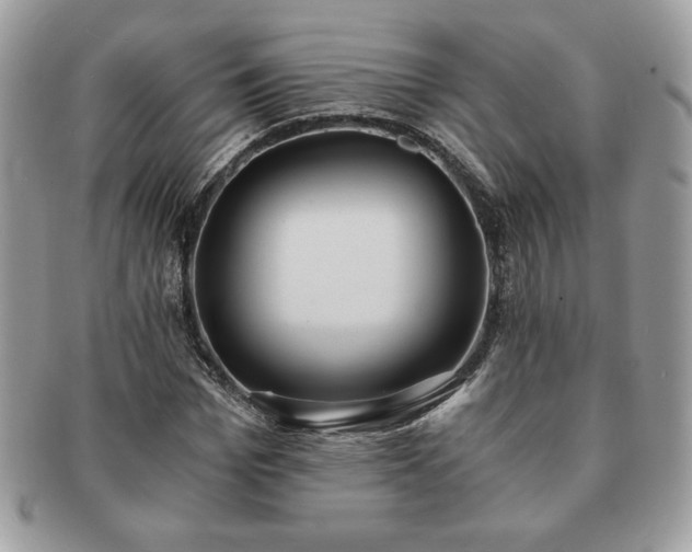 X0000091200969200708161611