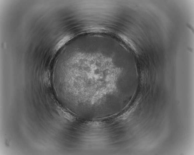 X0000091200970200708161611