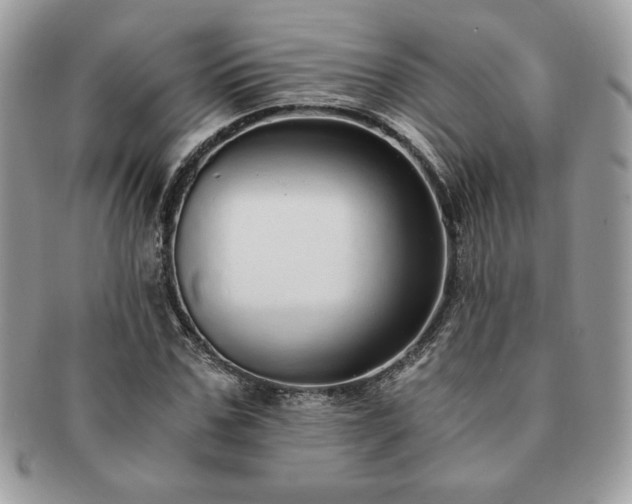 X0000091200971200708161611