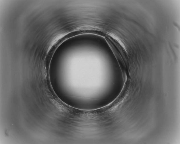X0000091200973200708161610