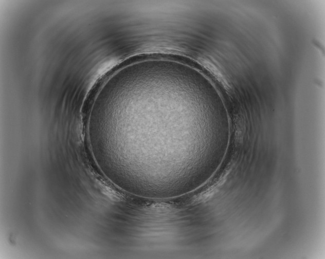 X0000091200974200708161610